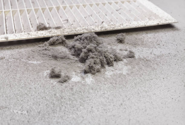 Best Best Air Duct Cleaning Company  in Eielson Af, AK